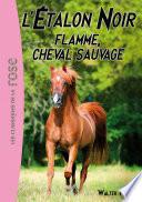 L'Étalon Noir 10 - Flamme, cheval sauvage