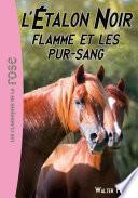 L'Étalon Noir 11 - Flamme et les pur-sang