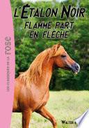 L'Etalon Noir 12 - Flamme part en flèche