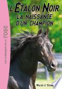 L'Étalon Noir 19 - La naissance d'un champion