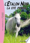 L'Étalon Noir 20 - La cité perdue