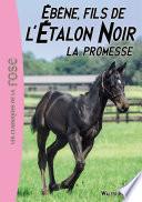 L'Étalon Noir 21 - Ébène, le fils de l'Étalon Noir