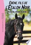 L'Étalon Noir 22 - Un cheval nommé Ébène