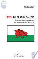 L'éveil du dragon gallois