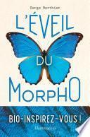 L'éveil du Morpho
