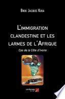 Livre L'immigration clandestine et les larmes de l'Afrique