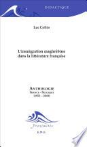 L'immigration maghrébine dans la littérature française