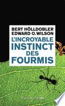 L'incroyable instinct des fourmis