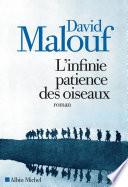 L'Infinie patience des oiseaux