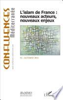 L'islam de France : nouveaux acteurs, nouveaux enjeux