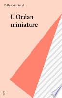 L'Océan miniature