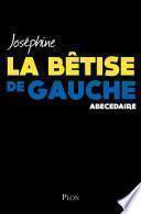 La bêtise de gauche