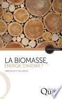 La biomasse, énergie d'avenir ?