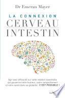 La connexion cerveau intestin