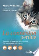 La connexion perdue