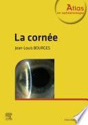 La cornée