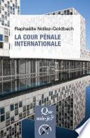 La Cour pénale internationale