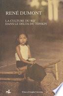 La culture du riz dans le delta du Tonkin
