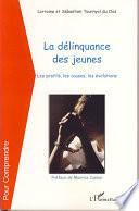 La délinquance des jeunes
