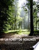 La Forêt de Soignes