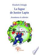 La fugue de Junior Lapin