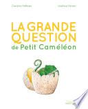 La grande question de Petit Caméléon