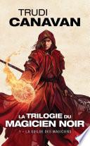 La Guilde des magiciens