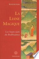 La Liane magique