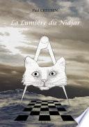 La lumiere du Nidjar