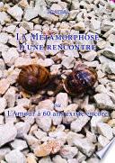 La Métamorphose d’une rencontre ou L’Amour à 60 ans existe encore