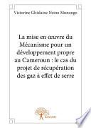 La mise en œuvre du Mécanisme pour un développement propre au Cameroun : le cas du projet de récupération des gaz à effet de serre