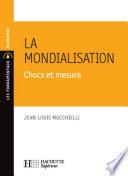 La mondialisation 2008-2009