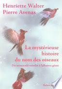 La mystérieuse histoire du nom des oiseaux