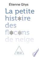 La petite histoire des flocons de neige