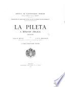 La Pileta a Benaojan