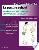 La posture debout