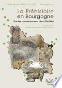 La Préhistoire en Bourgogne