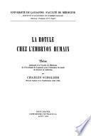La rotule chez l'embryon humain