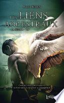 La Sferia, tome 2.5