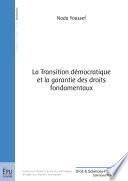 La transition démocratique et la garantie des droits fondamentaux