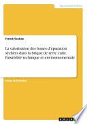 La valorisation des boues d'épuration séchées dans la brique de terre cuite. Faisabilité technique et environnementale