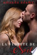 La Vedette de Noël