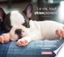 La vie, tout chienplement...