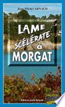 Lame scélérate à Morgat