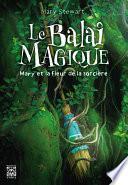 Le Balai magique - Mary et la Fleur de la sorcière