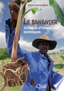 Le bananier