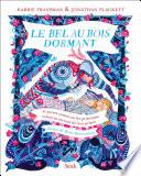 Le Bel au Bois Dormant