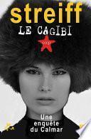 Le cagibi