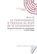 Le Cautionnement à l'épreuve du Droit de la consommation