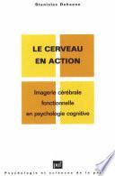 Le cerveau en action